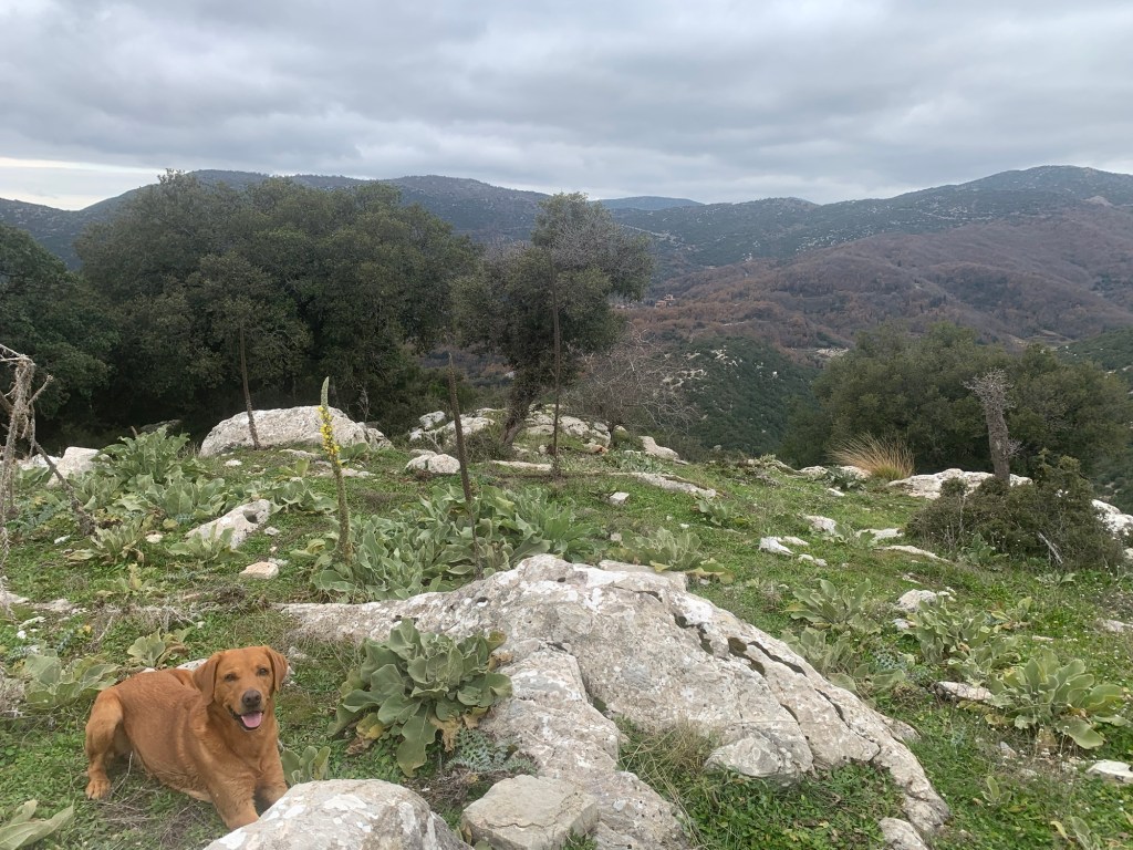 Back In The High Life&nbsp;Again..