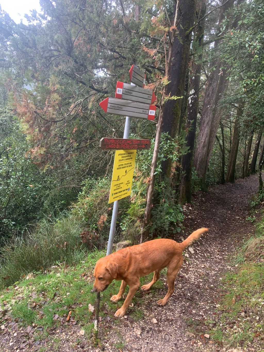 A short section of the Via di&nbsp;Francesco