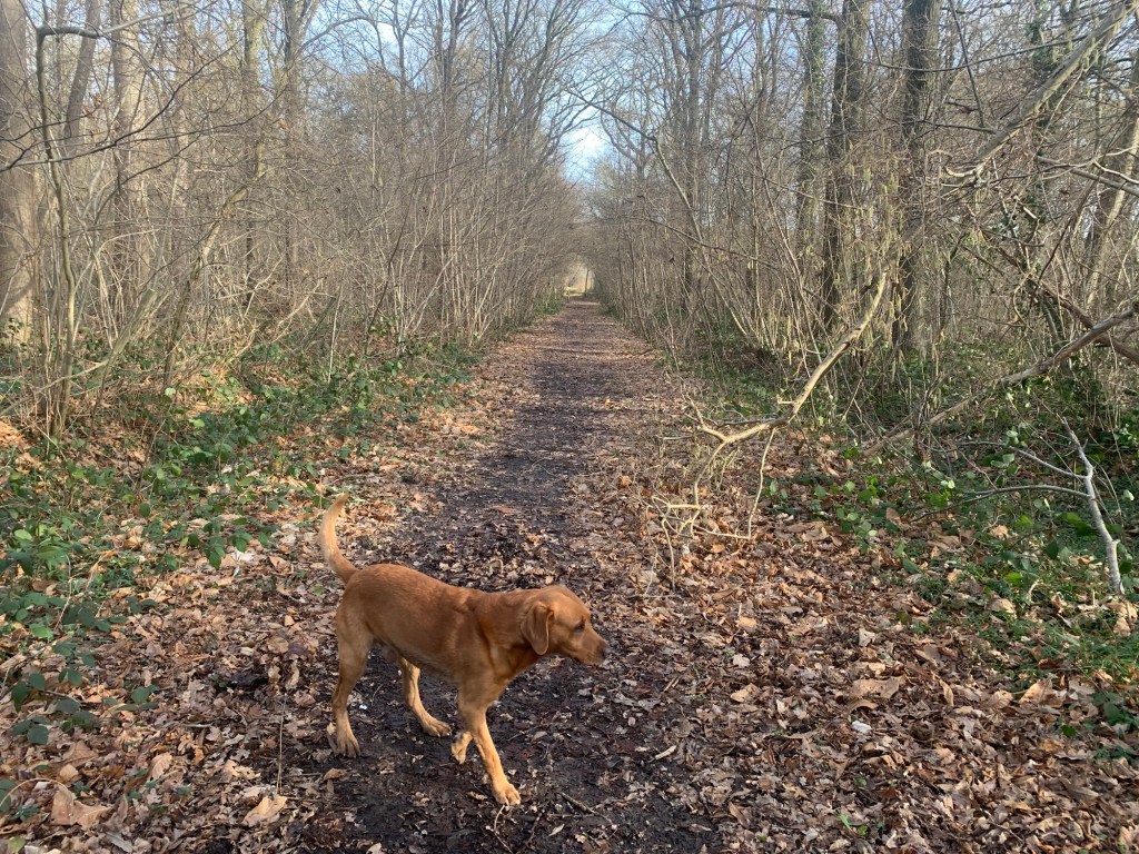 The way is long but the end is&nbsp;near..