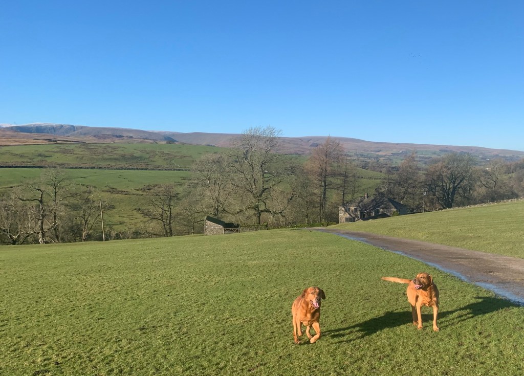 A brief catch-up from&nbsp;Shap