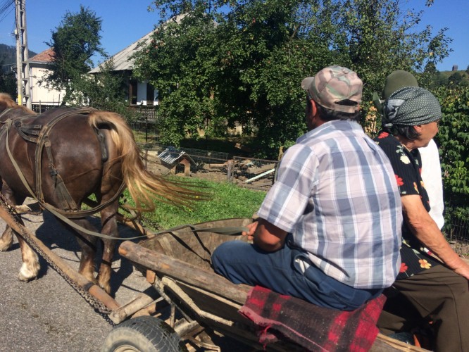 Day 14 – Câmpulung Moldovenesc to&nbsp;Putna