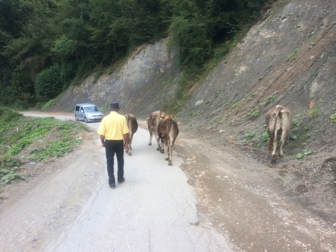 Day 10 – Pluzine (Montenegro) to Kalinovik&nbsp;(Bosnia)