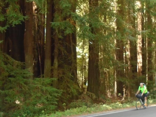 Day 23 – Ferndale to Myers&nbsp;Flat