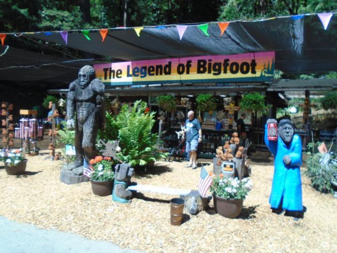 Day 24 – Myers Flat to Standish-Wheatley State&nbsp;Park