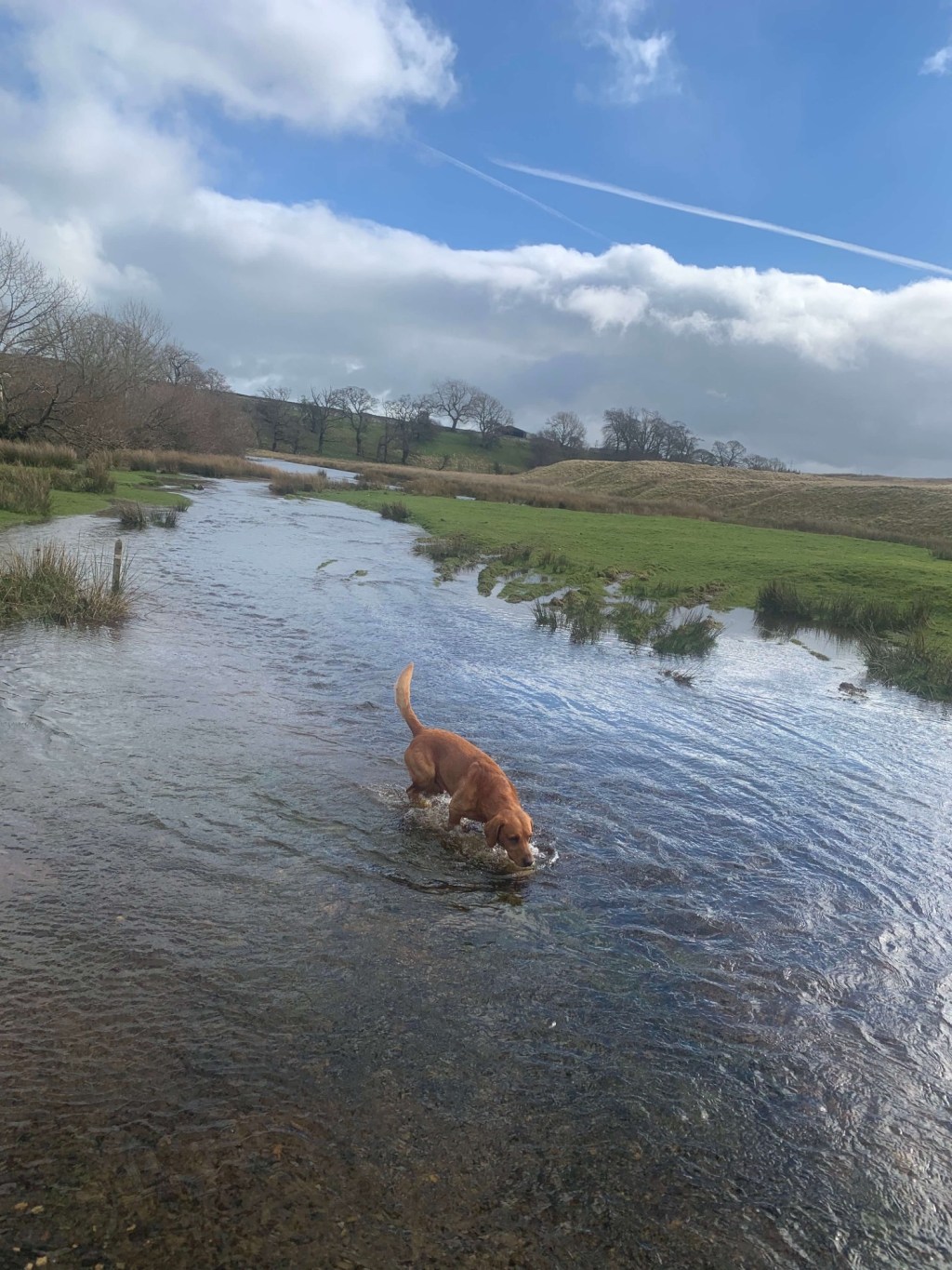 Back in the&nbsp;Van