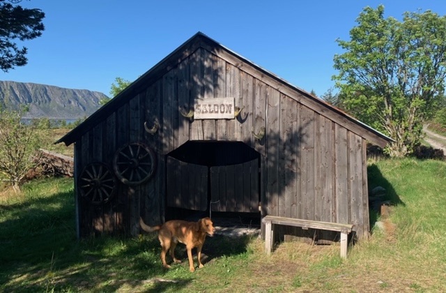 A Saloon Bar on the&nbsp;Nordøyvegen..