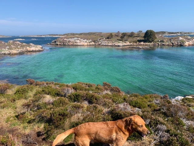A Small Brewery on Frøya and back to the&nbsp;Mainland