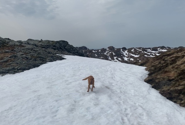 On the Stord Island&nbsp;Ridge