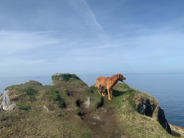 Mulenesset Nature Reserve