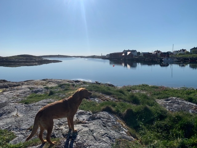 A Challenging Hike and Lessons in Norwegian&nbsp;History