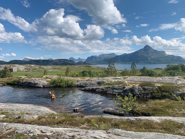 Island of Rangsundøya – now with midnight&nbsp;sun