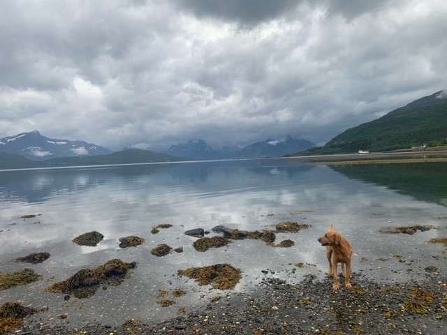 A Sleepy Stormy Sunday in&nbsp;Styrkesnes