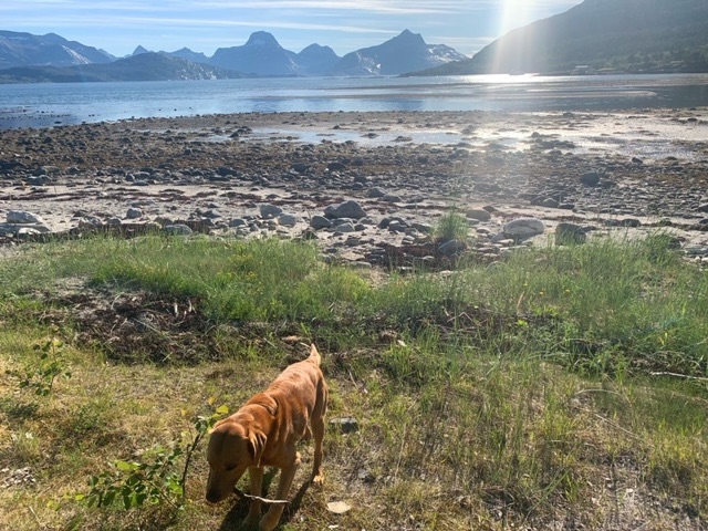A Haunting in the Styrkesnes&nbsp;Fjord