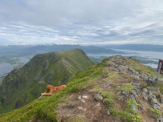Onwards to the Vesterålen&nbsp;Islands