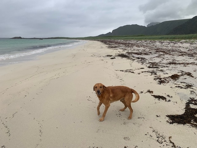 Some days on Stave Beach,&nbsp;Andøya