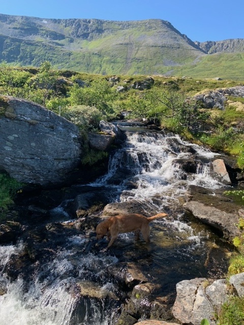Higher ground to get out of the&nbsp;heat