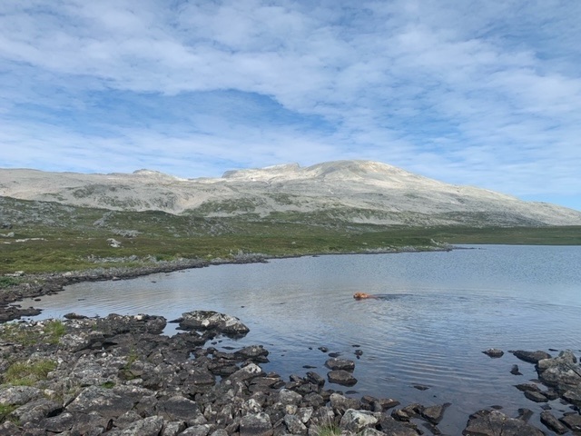 The High Life on the Island of&nbsp;Vannøy