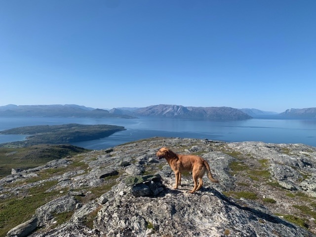 Looking out at&nbsp;Altafjord