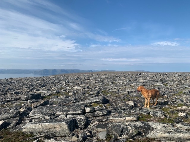 Turning South, reluctantly..