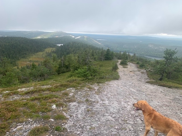 The Karhunkierros Trail&nbsp;