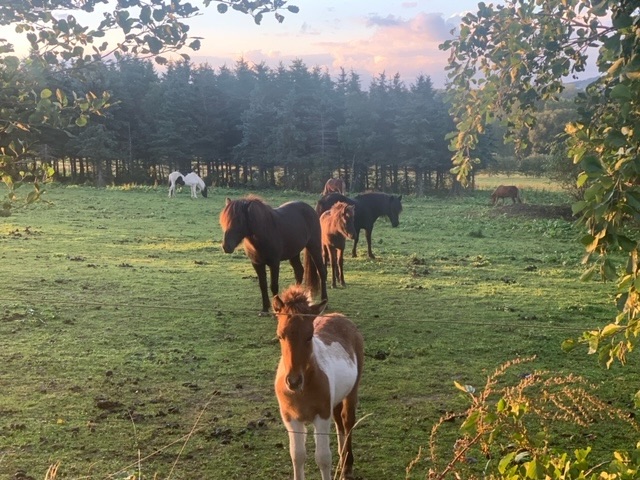 Krkonoše National Park