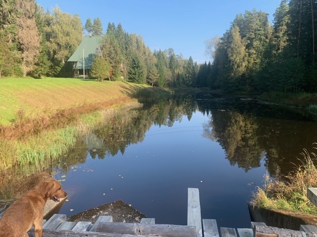 Estonia’s highest mountain & into&nbsp;Latvia&nbsp;