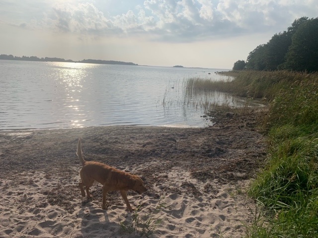 Keep On Keeping&nbsp;On..