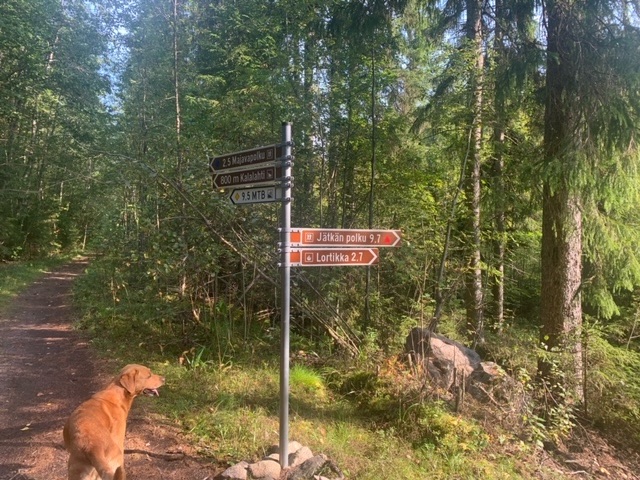 Trails of Isojärvi National&nbsp;Park&nbsp;