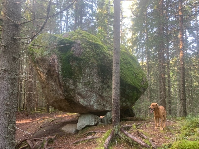 Isojärvi National Park