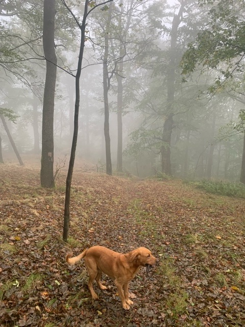The Bohemian Swiss National&nbsp;Park