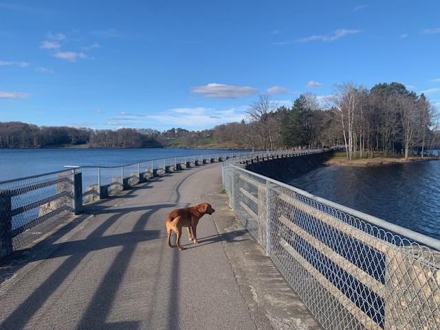 Welcoming the Spring&nbsp;Solstice