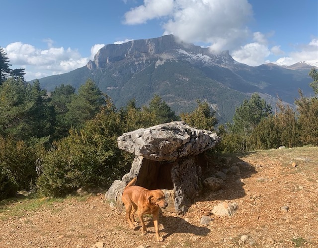 Through the Pyrenees and into the&nbsp;Occitanie
