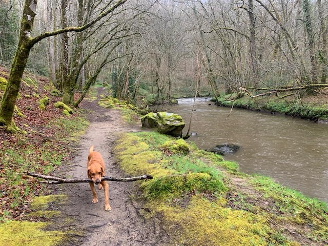 The Hills to the&nbsp;Ocean