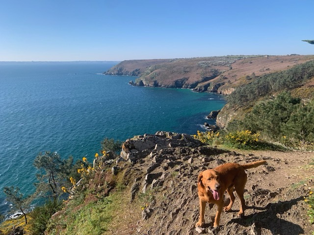 Last Days Before the Season&nbsp;Starts