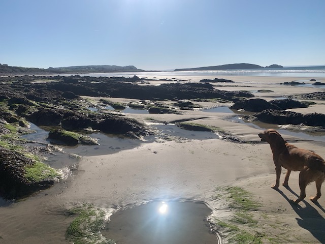 More from Cap&nbsp;Sizun