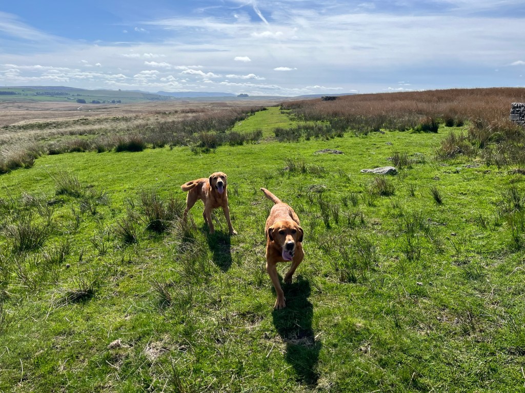Shap, Cumbria: the hiking season and back to&nbsp;work..