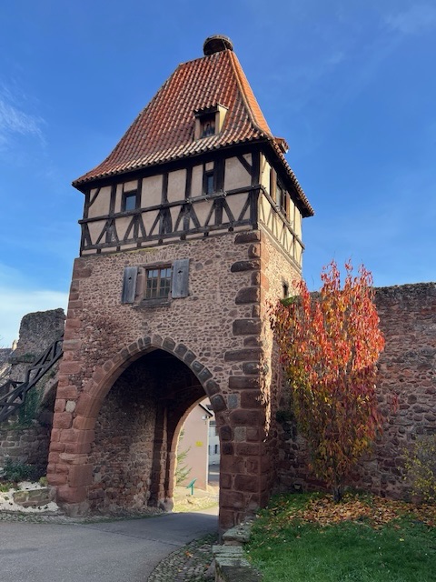 Heading south – through Northern&nbsp;Europe