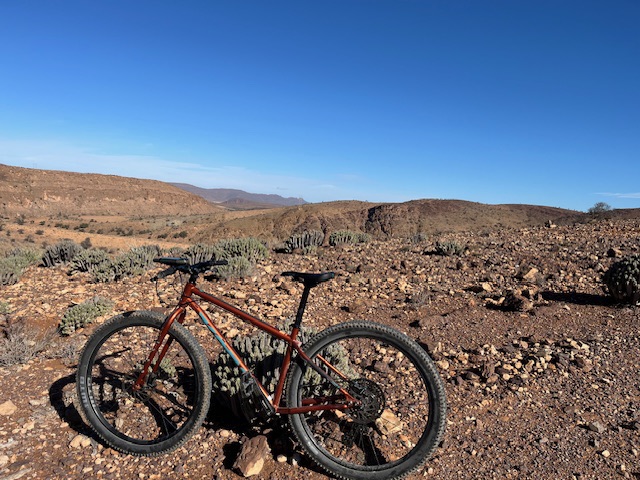 Christmas Under The&nbsp;Palms
