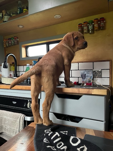 Rua at Ten&nbsp;Weeks