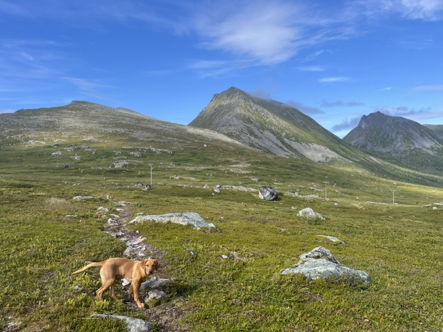 A Couple of Days on&nbsp;Kvaløya
