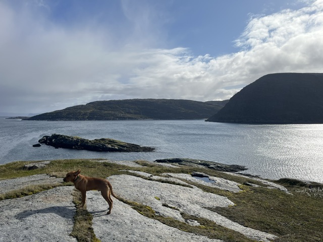 A few days on the Måsøy&nbsp;peninsula