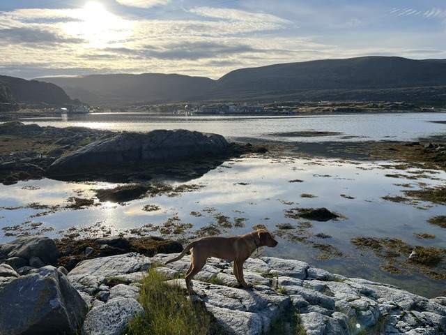 Hammerfest Peninsula
