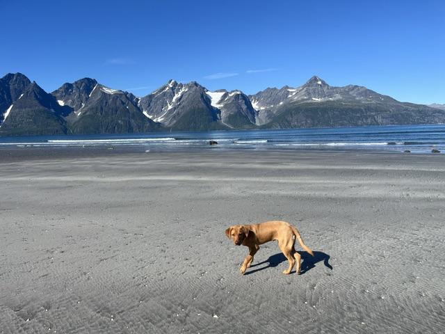 Lingering in Lyngen