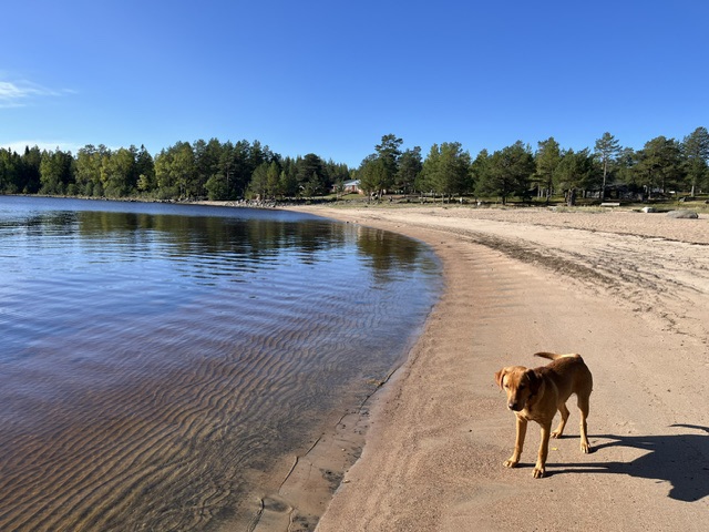 A Few Days in Sweden on the Luleå Archipelago&nbsp;coast