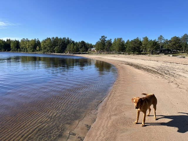 South to the Bothnian&nbsp;Sea