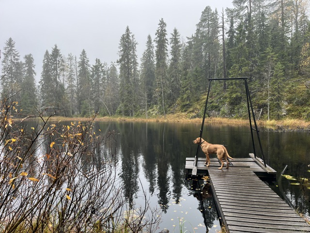 A wet weekend around&nbsp;Kajaani