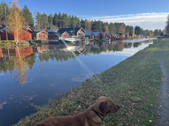 More Bothnian Beaches