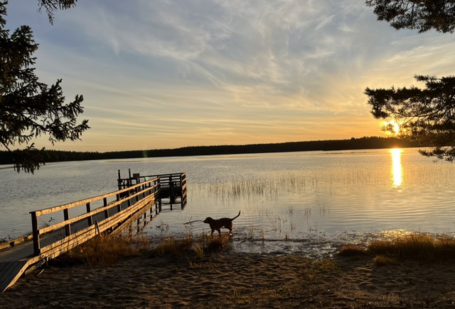Tiilikkajärvi National Park&nbsp;